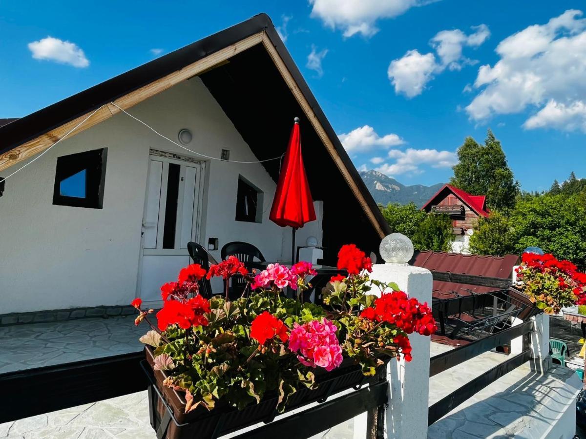 Poarta Zaganului Cheia Hotel Cheia  Ngoại thất bức ảnh